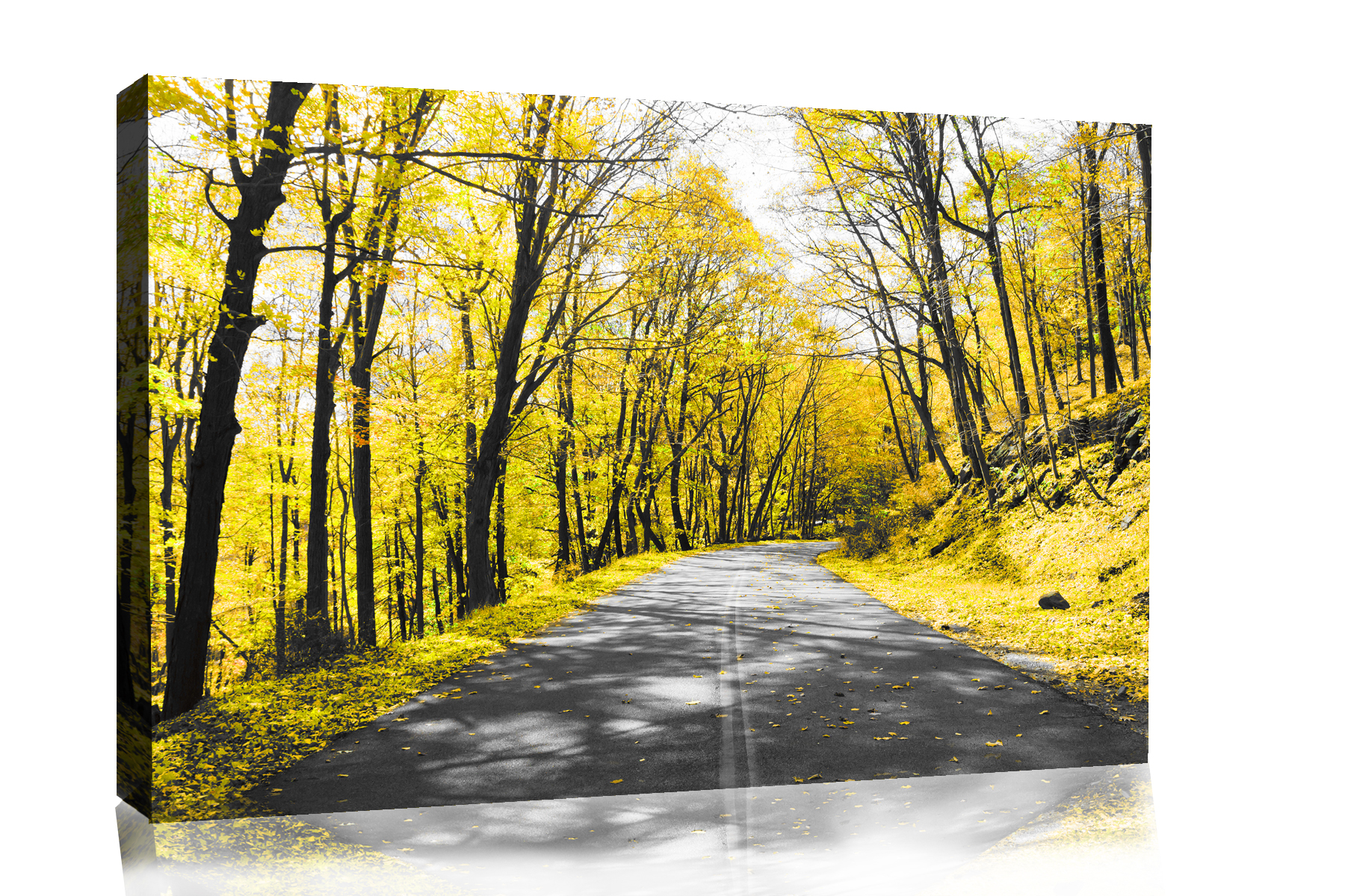Yellow Trees Lined Road Landscape Canvas Wall Art Picture Print - ALL ...